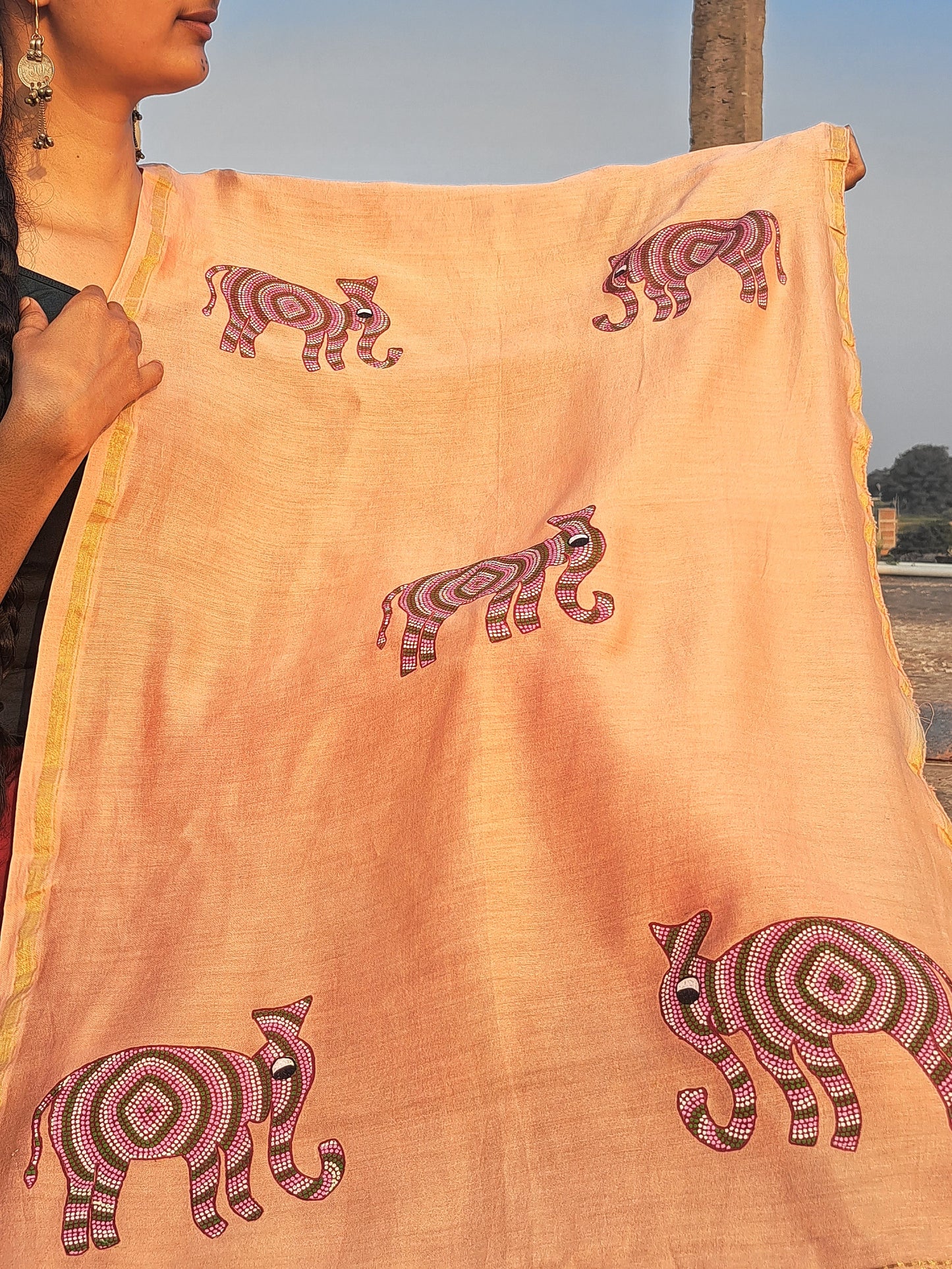 Original Bhil Hand painted Chanderi Stole