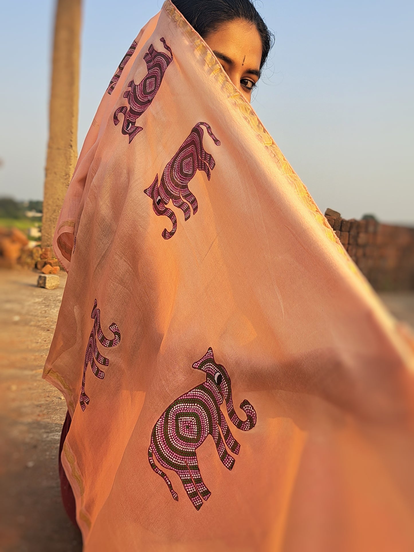 Original Bhil Hand painted Chanderi Stole