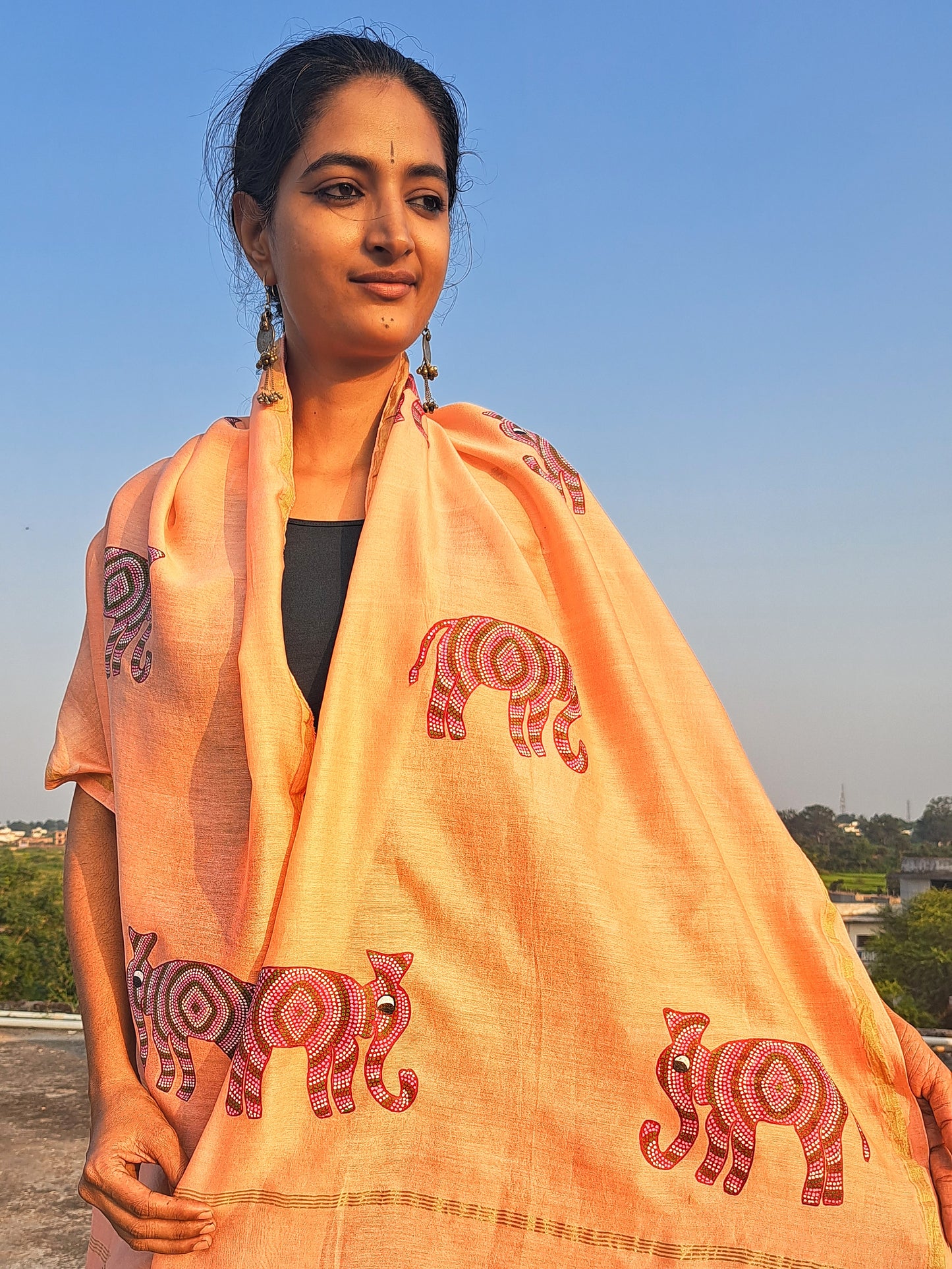 Original Bhil Hand painted Chanderi Stole